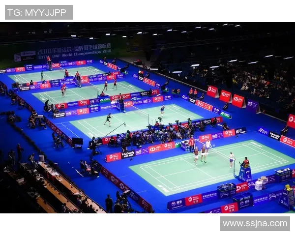 南京羽毛球队在全国锦标赛中的状态分析与表现评估