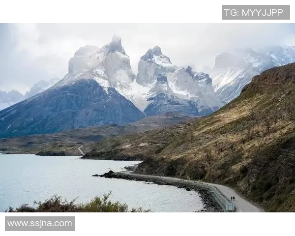 孤独的绿茵传奇：探寻最孤独足球明星背后的心路历程与情感世界
